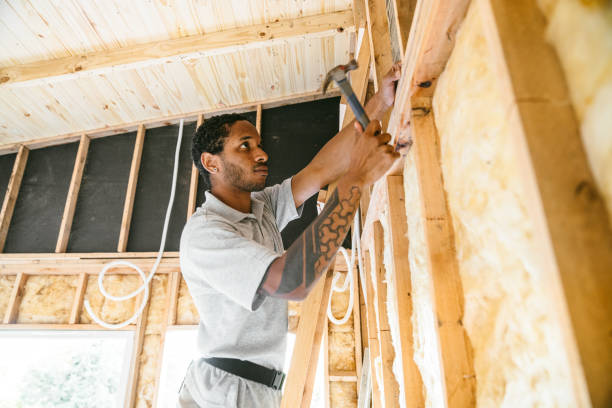 Insulation Inspection Services in Livonia, MI