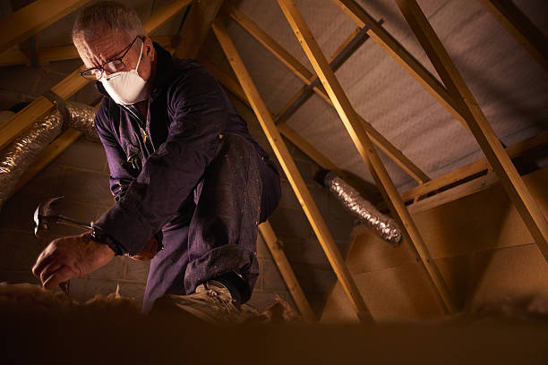 Best Insulation Inspection Services  in Livonia, MI